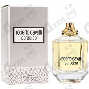 roberto cavalli paradiso douglas